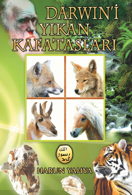 Darwini Yıkan Kafatasları